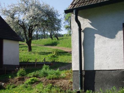 Kräuterbeet im Mai