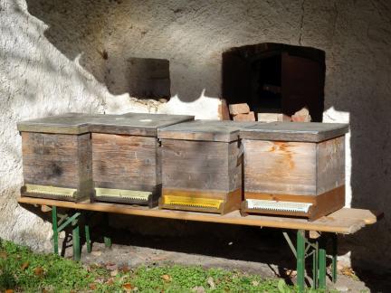 November 17: Bienen kommen ins Winterquartier