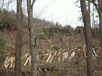Bäumefällen an der Geländekante
