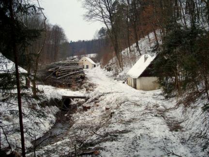 Februar: Baumfällen