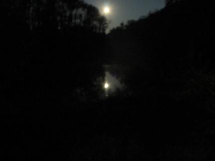 Mondnacht am Teich
