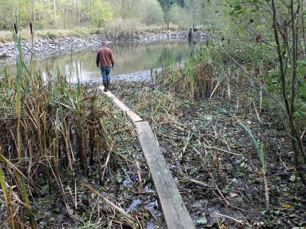 Oktober 14: der untere Teich wird abgelassen