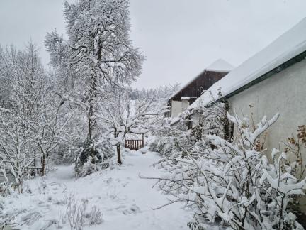 Dezemberschnee